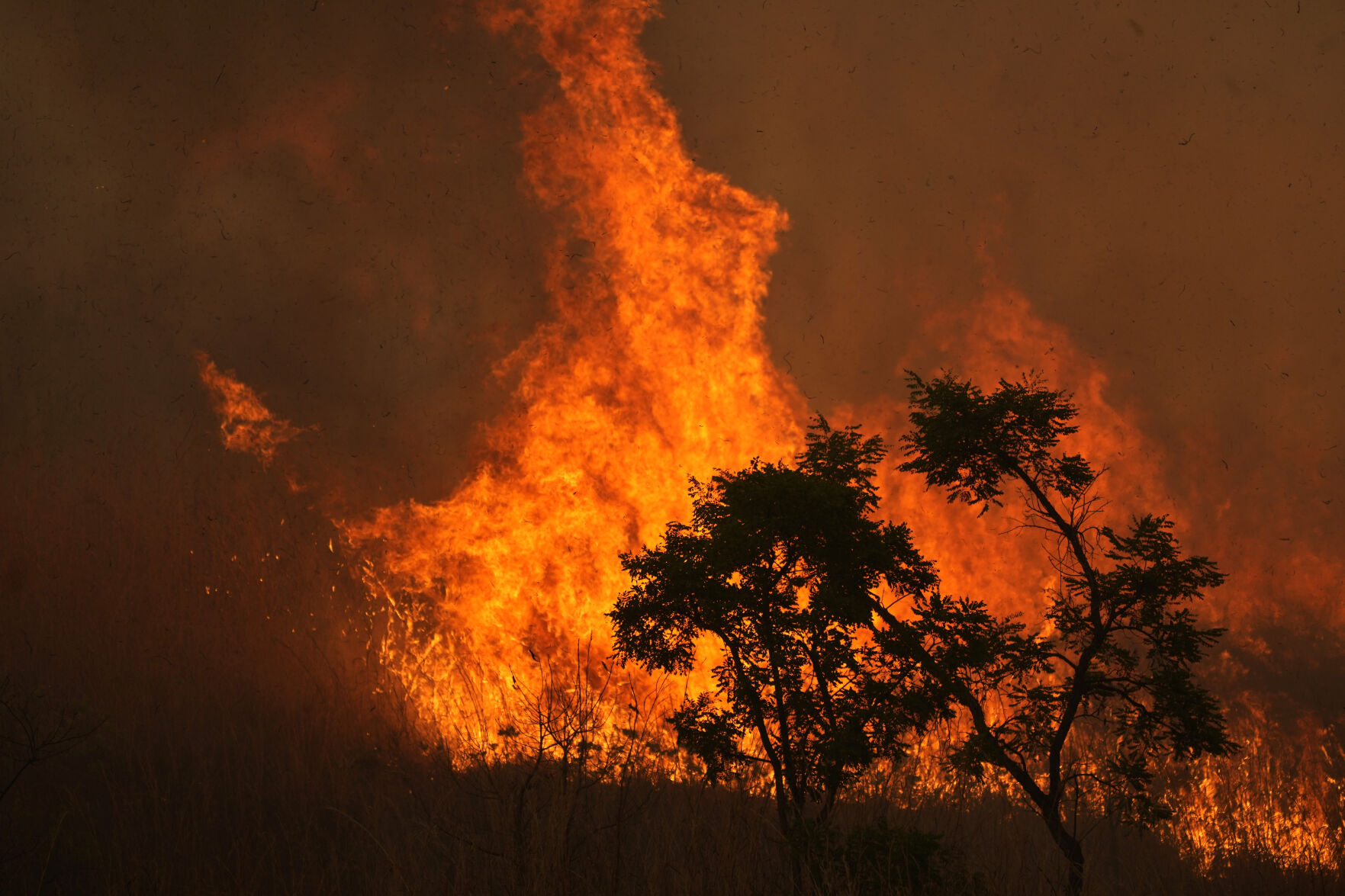 APTOPIX Brazil Fire
